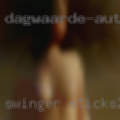 Swinger sticks