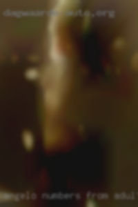 Angelo numbers from girls who will adult swingers.