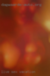 Live sex webcam chat at imlive vacation.